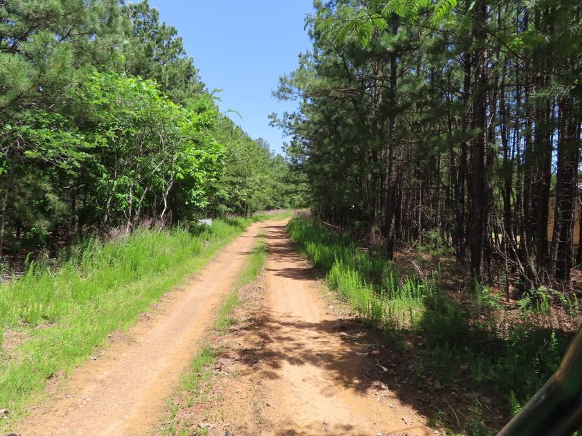 This beautiful 34.79 m/l acres mountain property is located in - photo 28