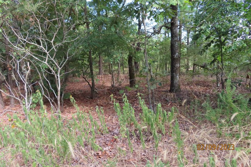 This beautiful 34.79 m/l acres mountain property is located in - photo 30