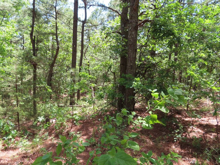 This beautiful 34.79 m/l acres mountain property is located in - photo 32