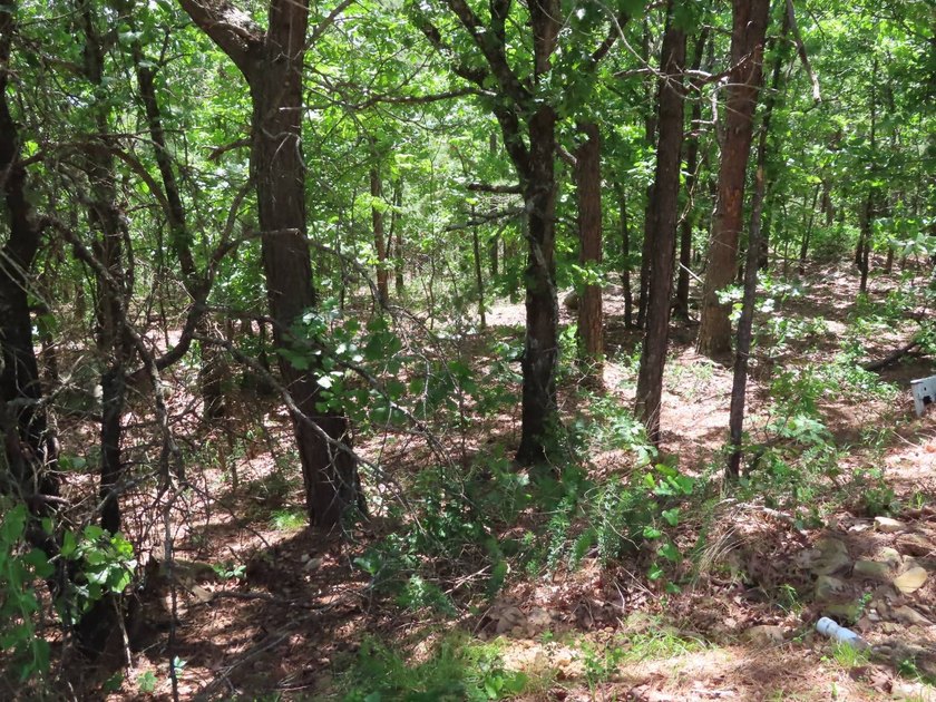 This beautiful 34.79 m/l acres mountain property is located in - photo 36