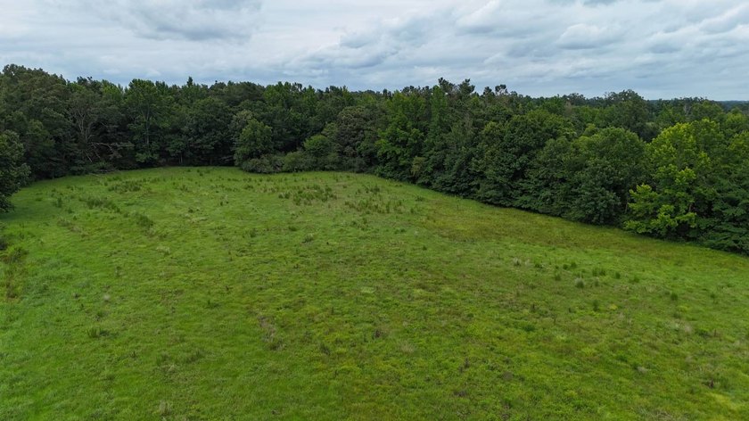 Fully Fenced, Pond, and Just 1 Mile from Hwy 82! Exceptional - photo 11