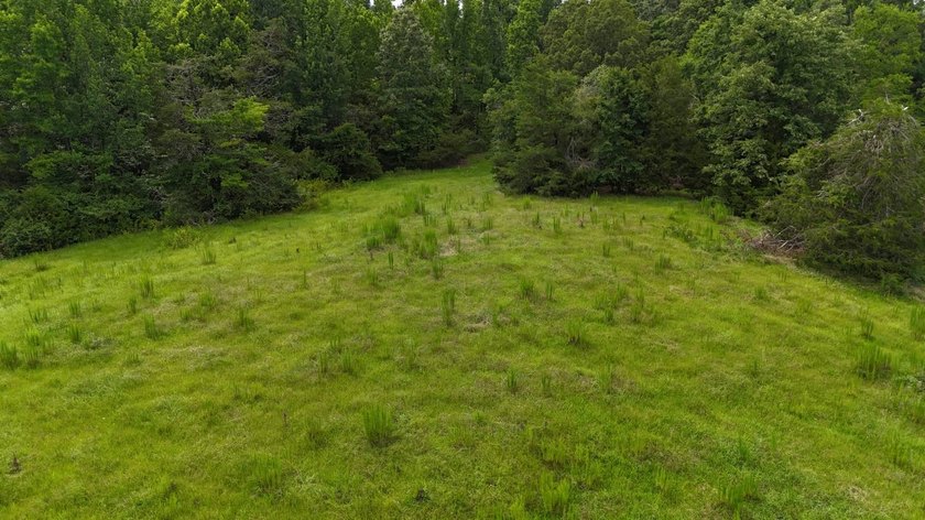 Fully Fenced, Pond, and Just 1 Mile from Hwy 82! Exceptional - photo 15