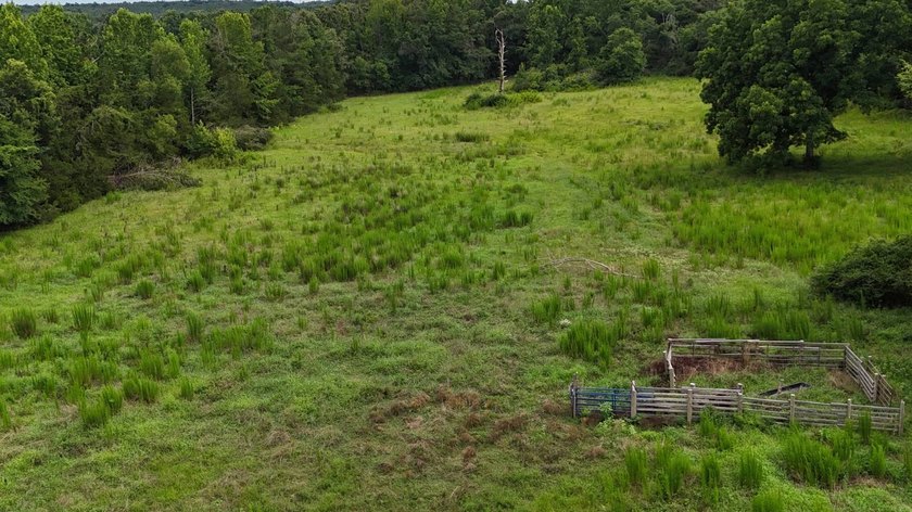 Fully Fenced, Pond, and Just 1 Mile from Hwy 82! Exceptional - photo 17