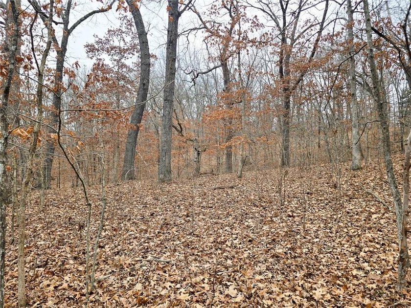 Nearly 80 acres of Lake of the Ozarks land in Gravois Mills, MO - photo 13