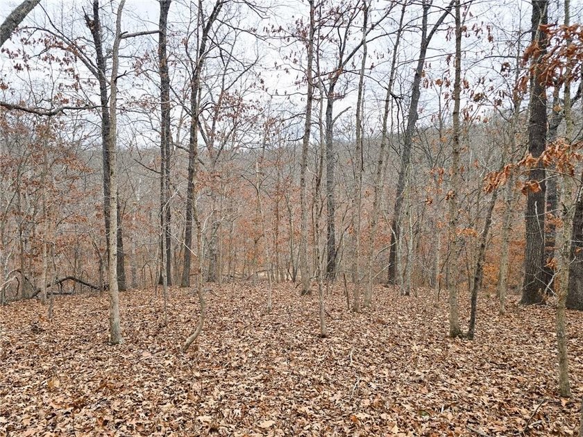 Nearly 80 acres of Lake of the Ozarks land in Gravois Mills, MO - photo 14