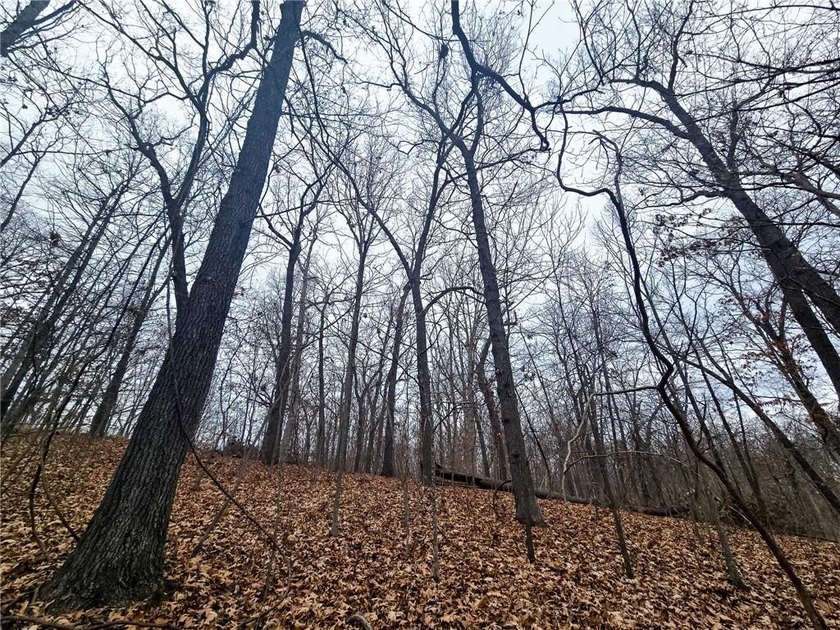 Nearly 80 acres of Lake of the Ozarks land in Gravois Mills, MO - photo 15