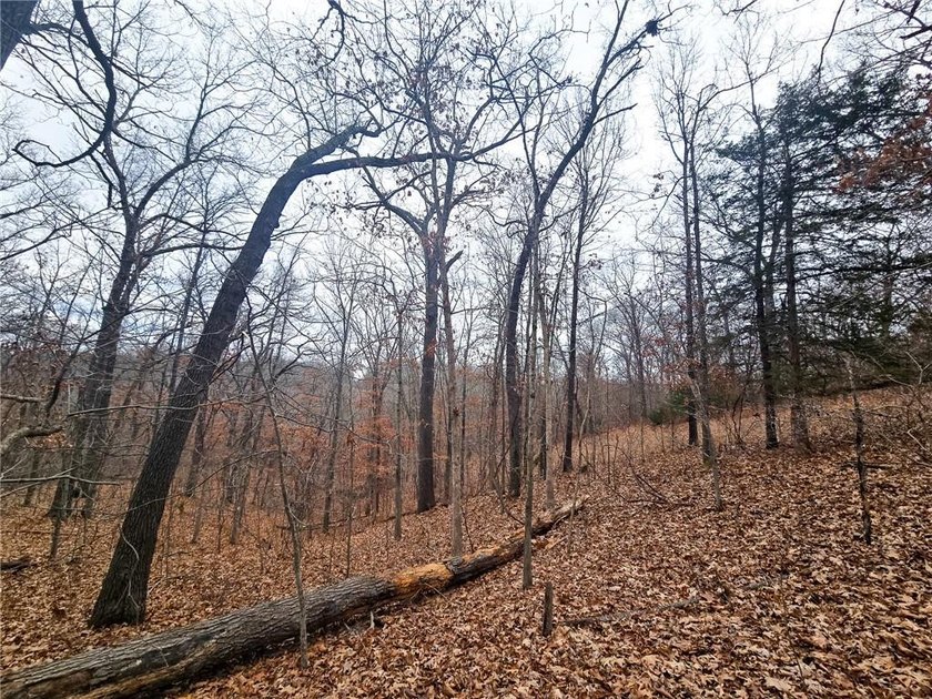 Nearly 80 acres of Lake of the Ozarks land in Gravois Mills, MO - photo 19