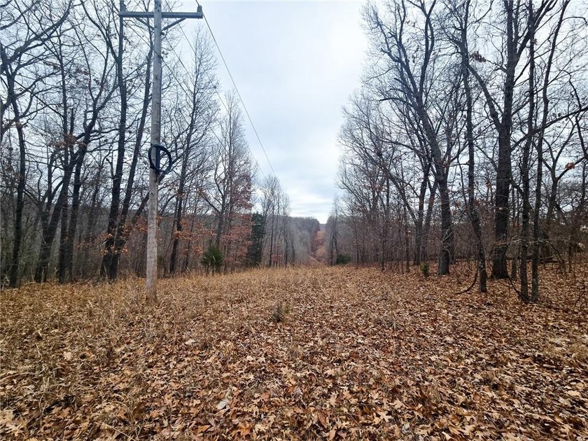 Nearly 80 acres of Lake of the Ozarks land in Gravois Mills, MO - photo 20
