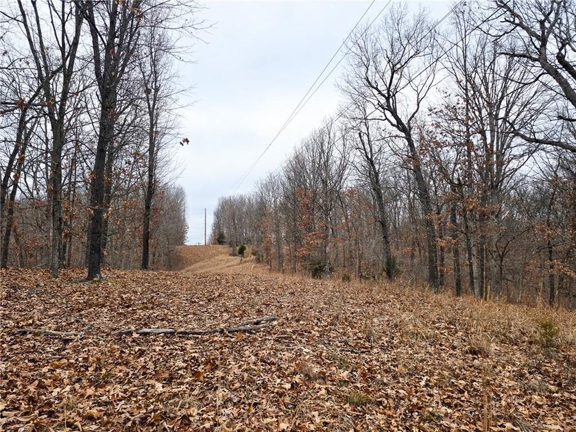 Nearly 80 acres of Lake of the Ozarks land in Gravois Mills, MO - photo 22