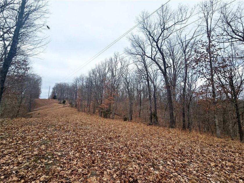 Nearly 80 acres of Lake of the Ozarks land in Gravois Mills, MO - photo 23