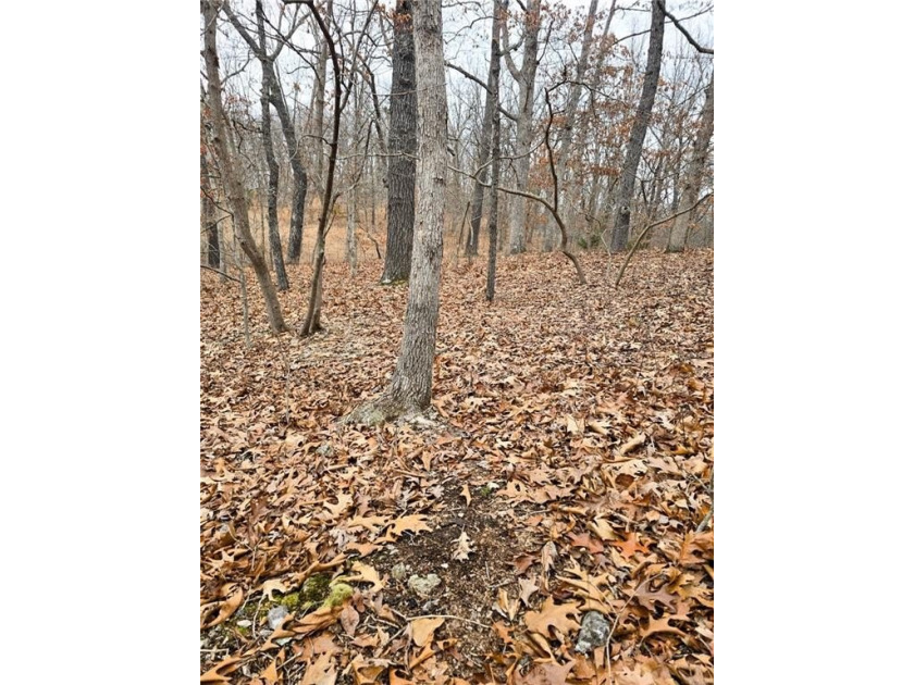Nearly 80 acres of Lake of the Ozarks land in Gravois Mills, MO - photo 25
