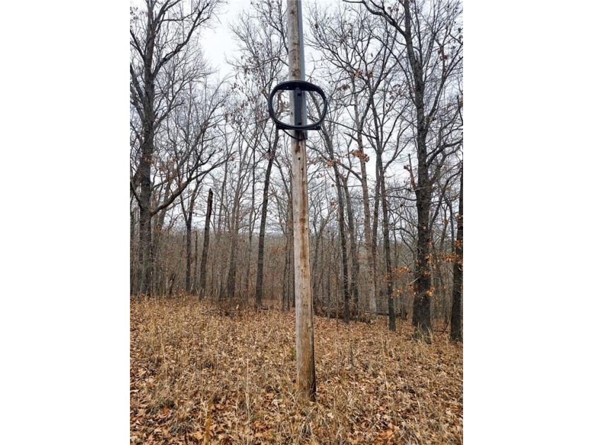 Nearly 80 acres of Lake of the Ozarks land in Gravois Mills, MO - photo 26