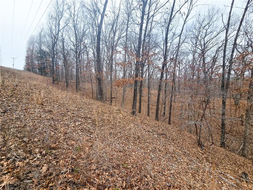 Nearly 80 acres of Lake of the Ozarks land in Gravois Mills, MO - photo 28