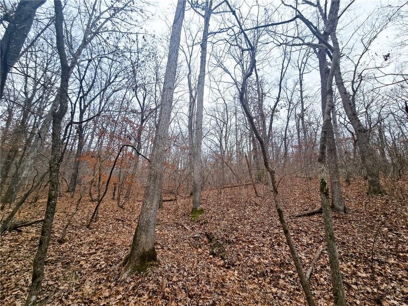 Nearly 80 acres of Lake of the Ozarks land in Gravois Mills, MO - photo 30