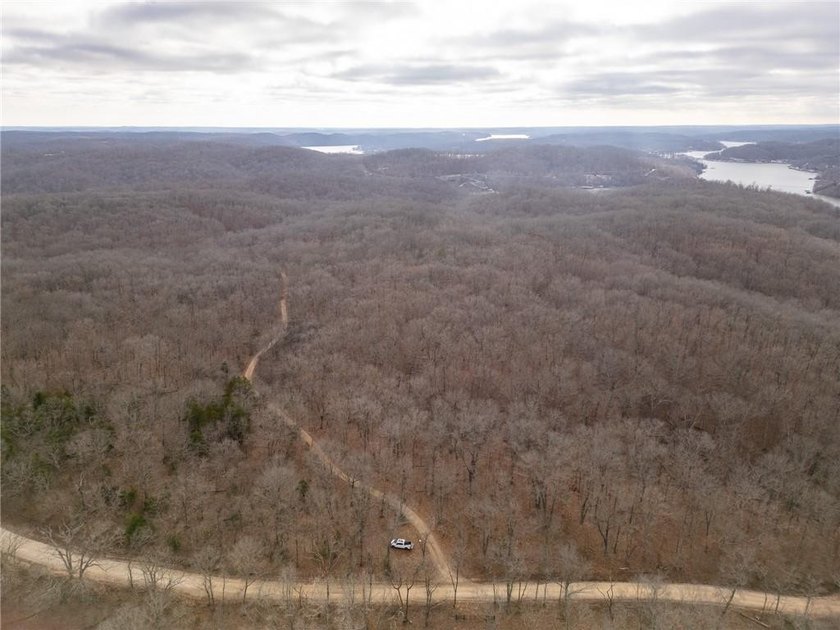 Nearly 80 acres of Lake of the Ozarks land in Gravois Mills, MO - photo 38