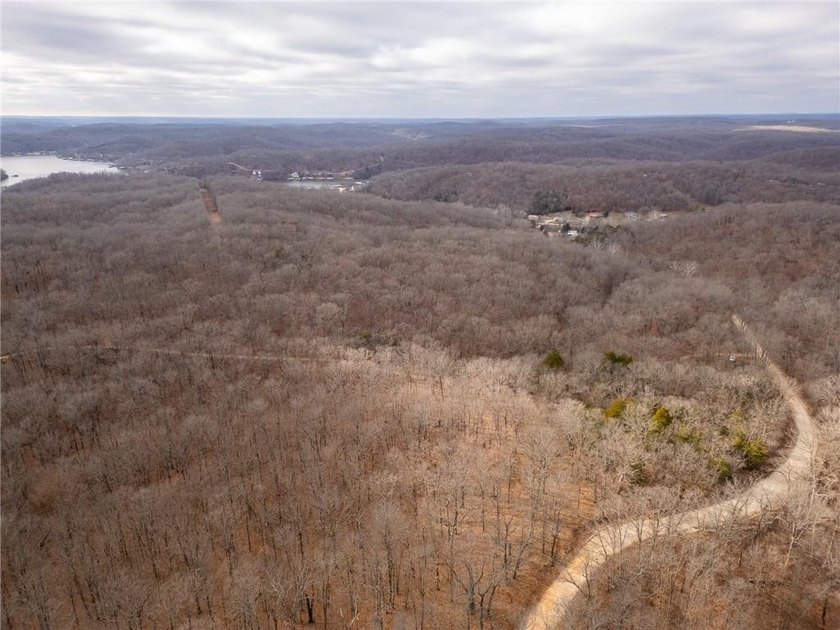 Nearly 80 acres of Lake of the Ozarks land in Gravois Mills, MO - photo 43