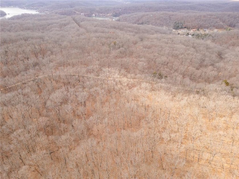 Nearly 80 acres of Lake of the Ozarks land in Gravois Mills, MO - photo 44