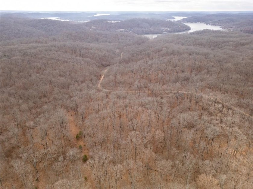 Nearly 80 acres of Lake of the Ozarks land in Gravois Mills, MO - photo 45