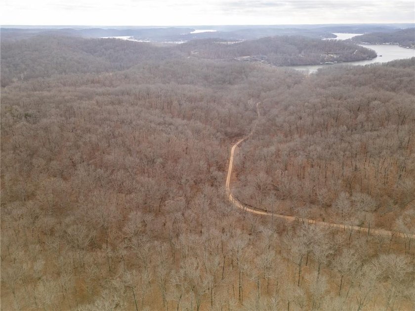 Nearly 80 acres of Lake of the Ozarks land in Gravois Mills, MO - photo 46