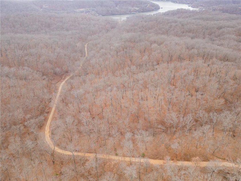 Nearly 80 acres of Lake of the Ozarks land in Gravois Mills, MO - photo 47