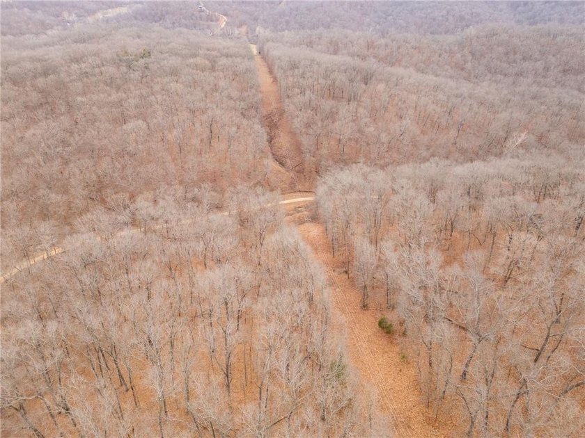 Nearly 80 acres of Lake of the Ozarks land in Gravois Mills, MO - photo 49