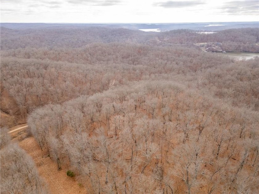 Nearly 80 acres of Lake of the Ozarks land in Gravois Mills, MO - photo 50