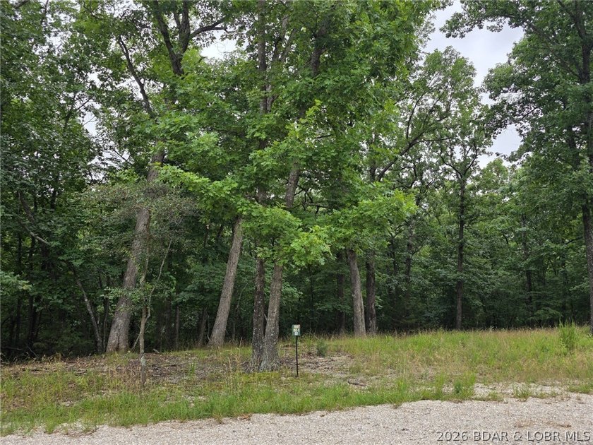 Fabulous building lot in the new Ridge Crest subdivision in the - photo 2