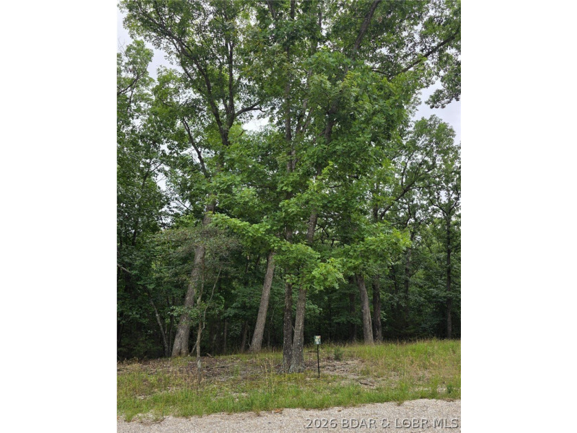 Fabulous building lot in the new Ridge Crest subdivision in the - photo 3