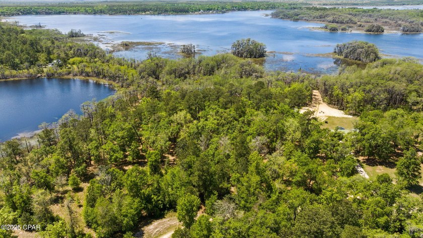 Very peaceful 1.58 acre waterfront property on Lucas Lake - photo 6