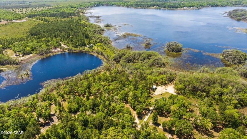Very peaceful 1.58 acre waterfront property on Lucas Lake - photo 8
