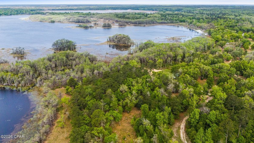 Very peaceful 1.58 acre waterfront property on Lucas Lake - photo 10
