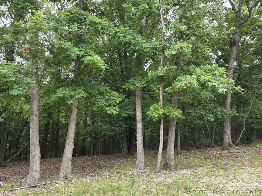 Fabulous building lot in the new Ridge Crest subdivision in the - photo 4