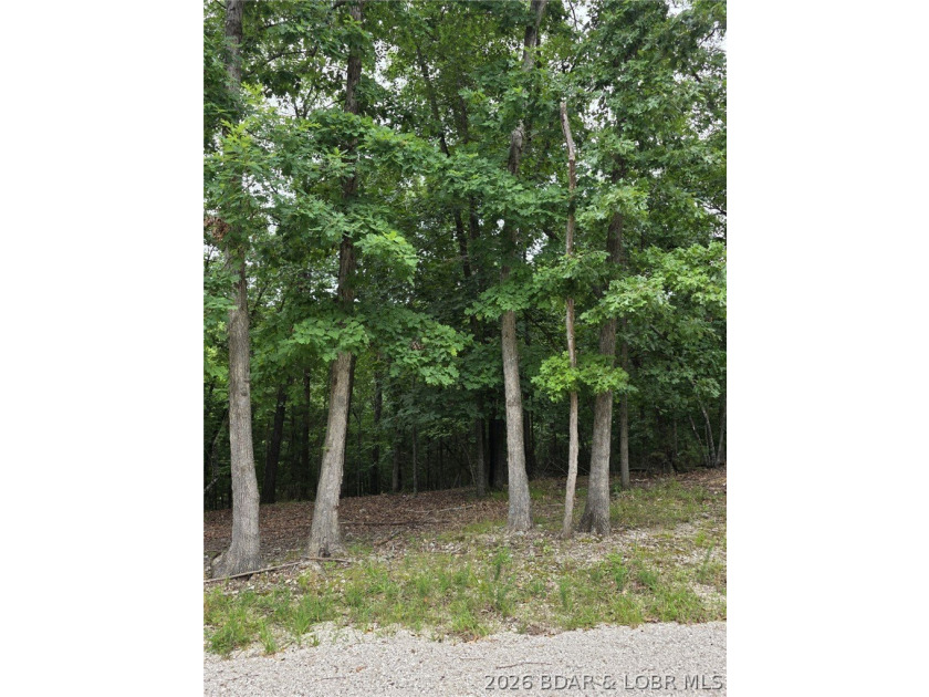 Fabulous building lot in the new Ridge Crest subdivision in the - photo 5