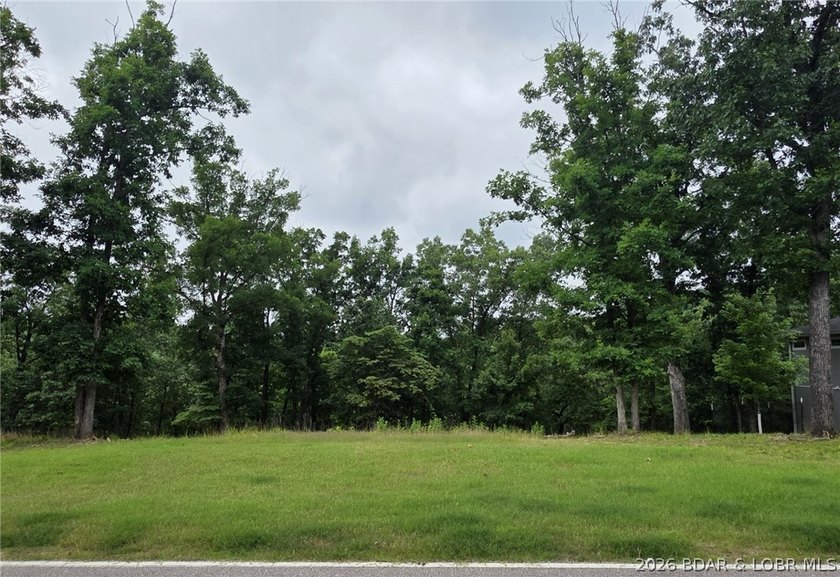 Fabulous building lot in the new Ridge Crest subdivision in the - photo 5