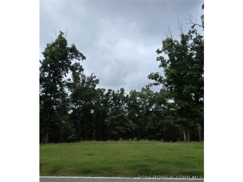 Fabulous building lot in the new Ridge Crest subdivision in the - photo 6