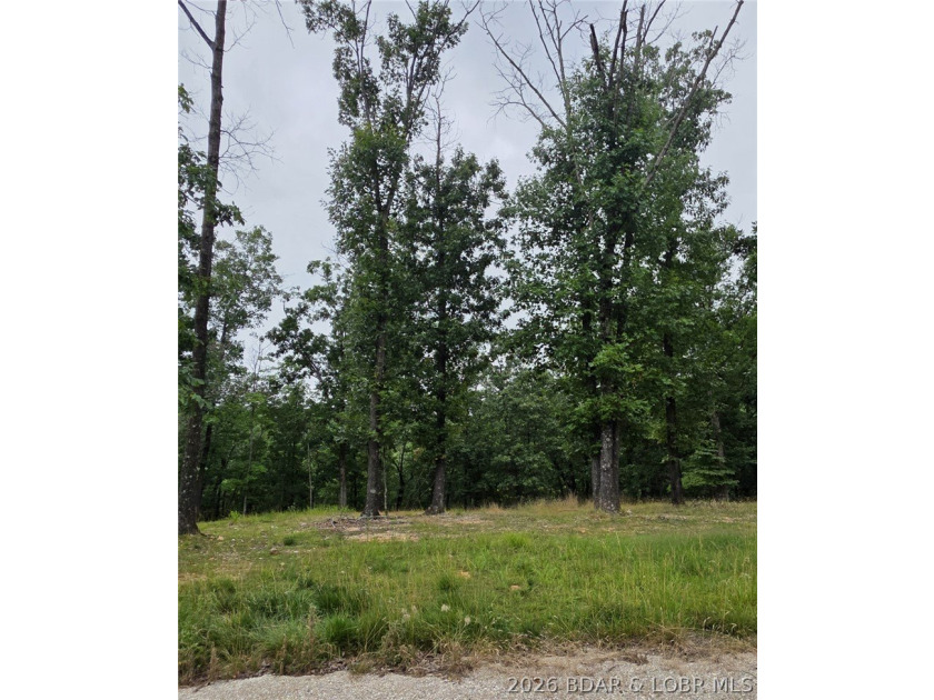 Fabulous building lot in the new Ridge Crest subdivision in the - photo 5