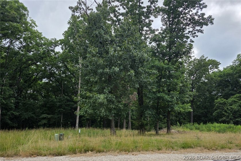 Fabulous building lot in the new Ridge Crest subdivision in the - photo 2