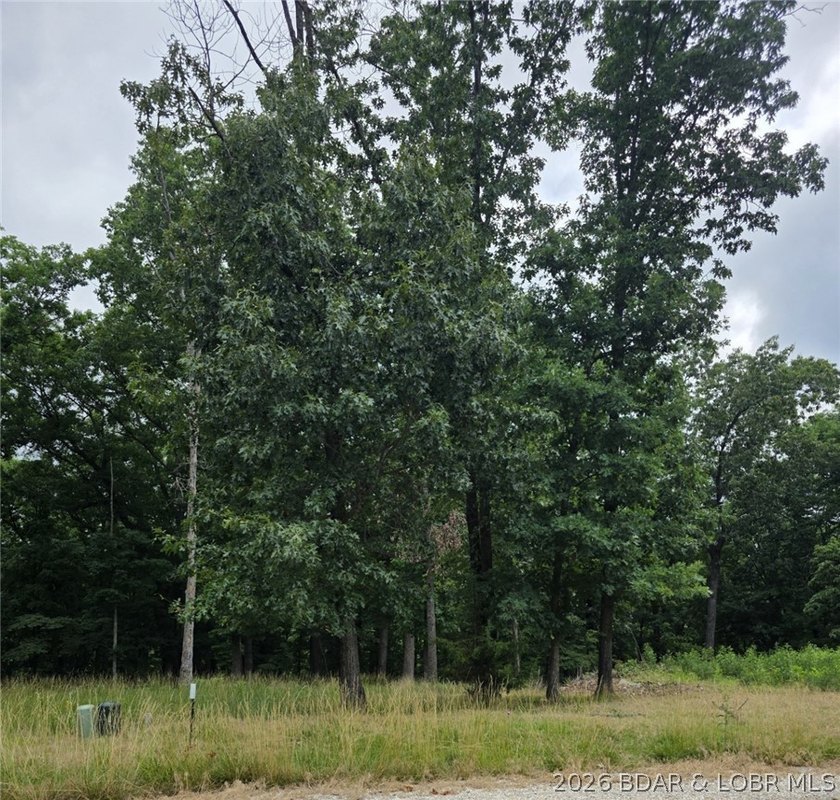 Fabulous building lot in the new Ridge Crest subdivision in the - photo 3