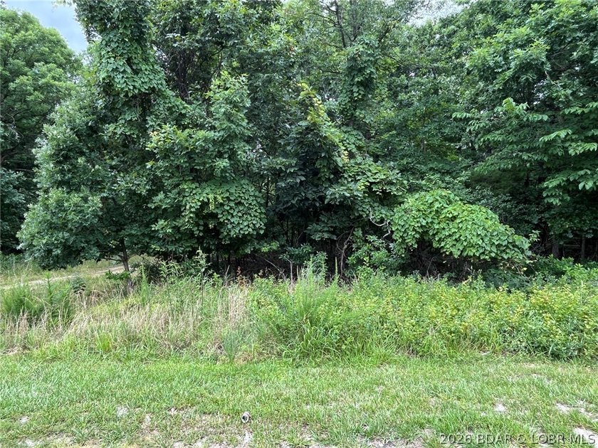 This wooded lot is flat/gentle and is located in a wonderful - photo 5