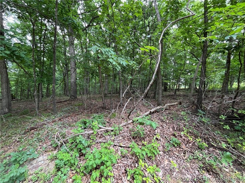 This wooded lot is flat/gentle and is located in a wonderful - photo 6