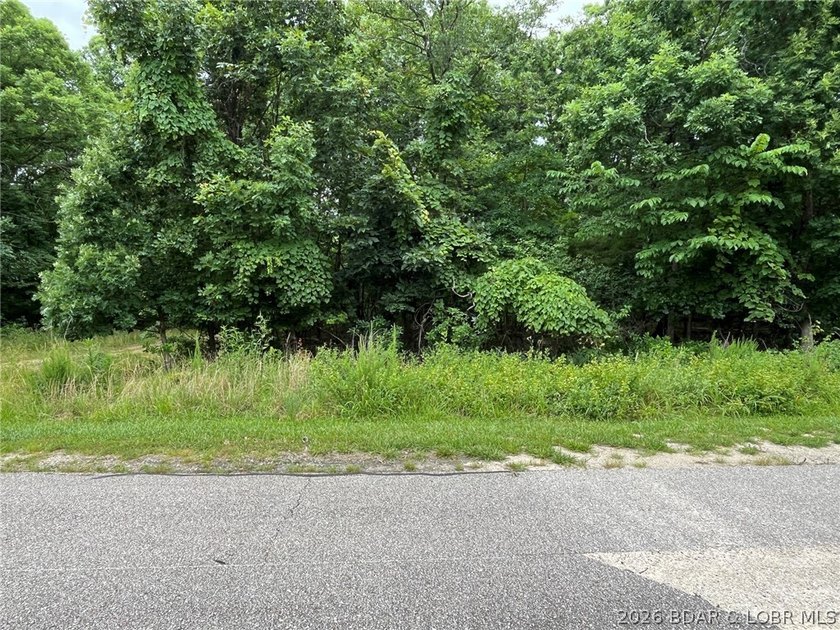This wooded lot is flat/gentle and is located in a wonderful - photo 7
