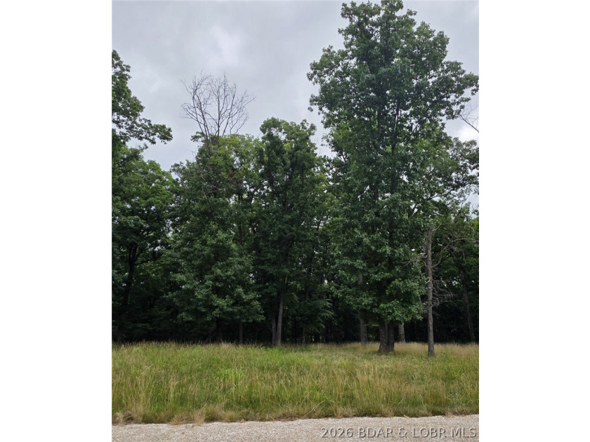 Fabulous building lot in the new Ridge Crest subdivision in the - photo 3