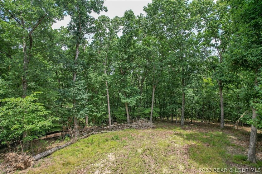 1.62-acre wooded lot in the sought-after Four Seasons community - photo 4