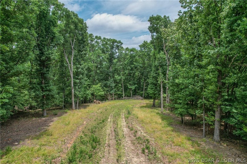 1.62-acre wooded lot in the sought-after Four Seasons community - photo 5