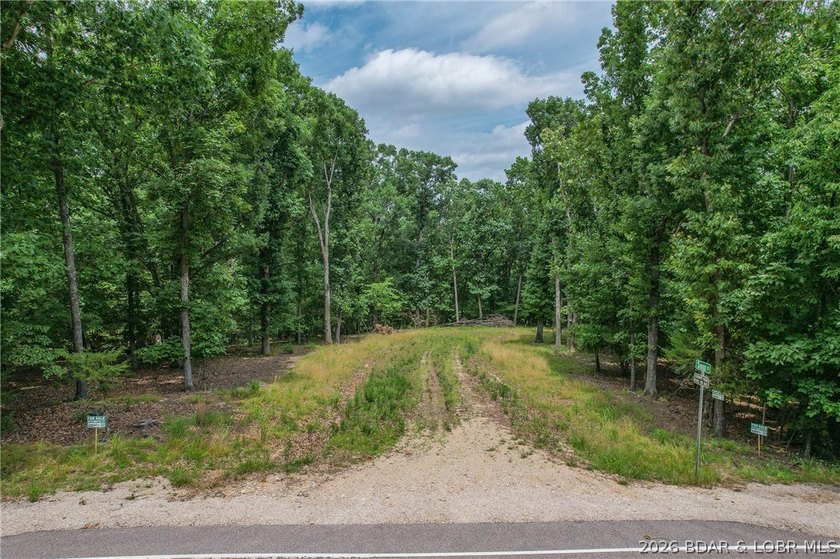 1.62-acre wooded lot in the sought-after Four Seasons community - photo 6