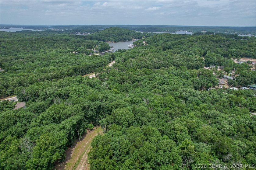 1.62-acre wooded lot in the sought-after Four Seasons community - photo 8