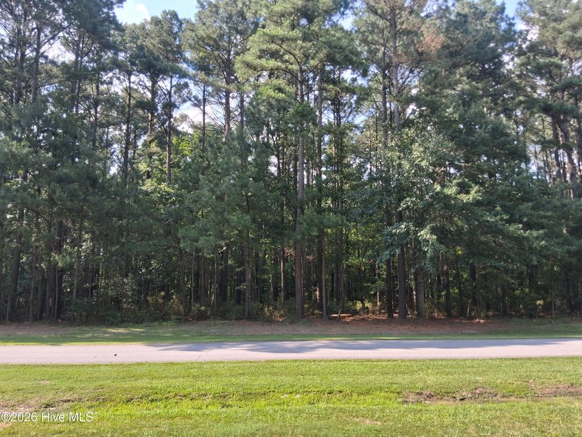 Escape to your own private oasis on this heavily wooded half - photo 2