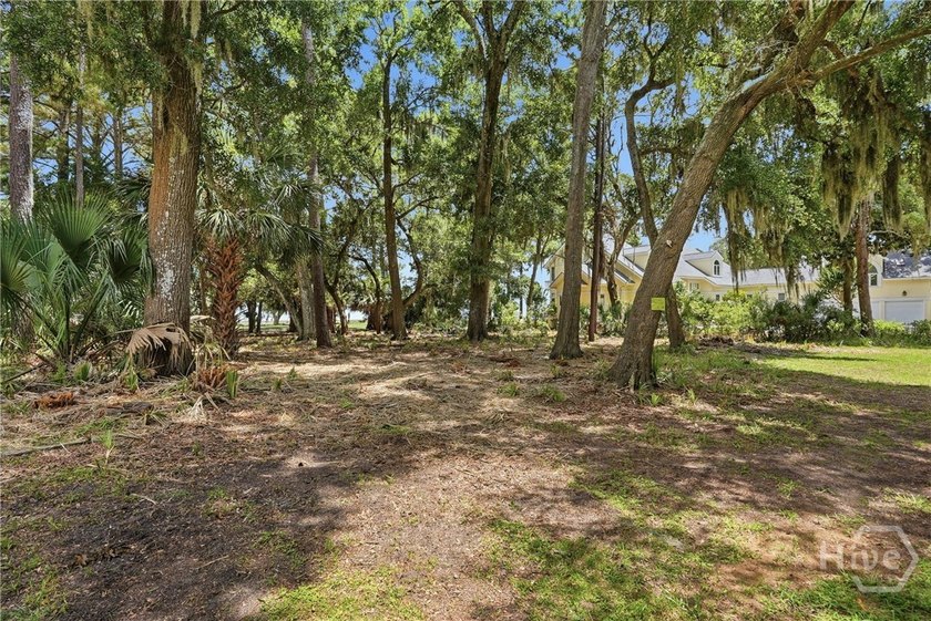Unparalleled panoramic vistas await on this rare, buildable lot - photo 20