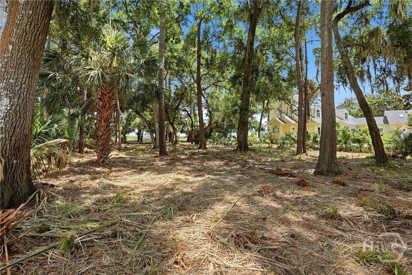 Unparalleled panoramic vistas await on this rare, buildable lot - photo 22