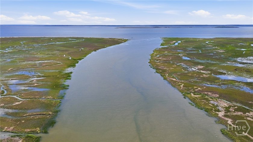 Unparalleled panoramic vistas await on this rare, buildable lot - photo 27
